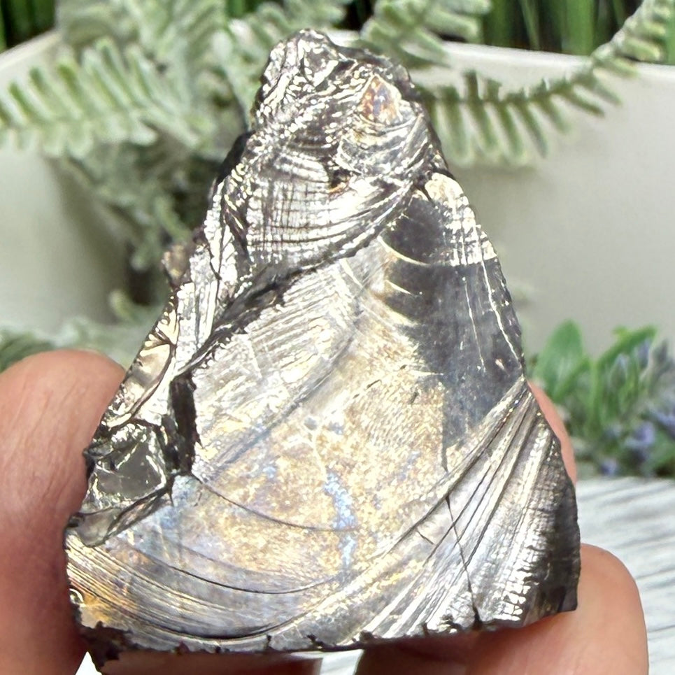 Elite Noble Shungite Raw Chunks Crystal Specimen EMF Protection 37g