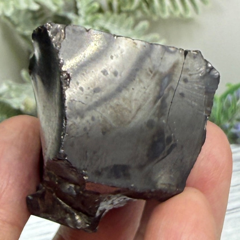 Elite Noble Shungite Raw Chunks Crystal Specimen EMF Protection 37g