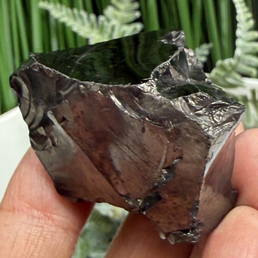 Elite Noble Shungite Raw Chunks Crystal Specimen EMF Protection 37g