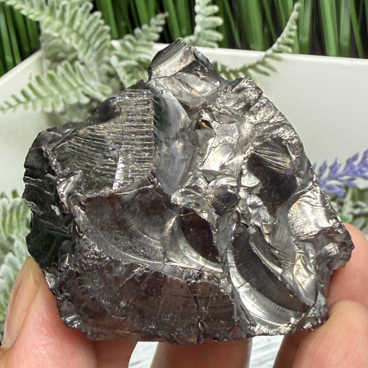 Elite Noble Shungite Raw Chunks Crystal Specimen EMF Protection 47g