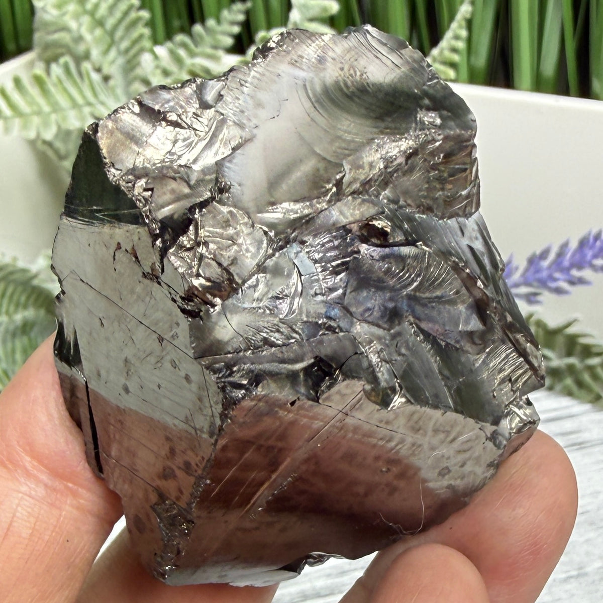 Elite Noble Shungite Raw Chunks Crystal Specimen EMF Protection 58g