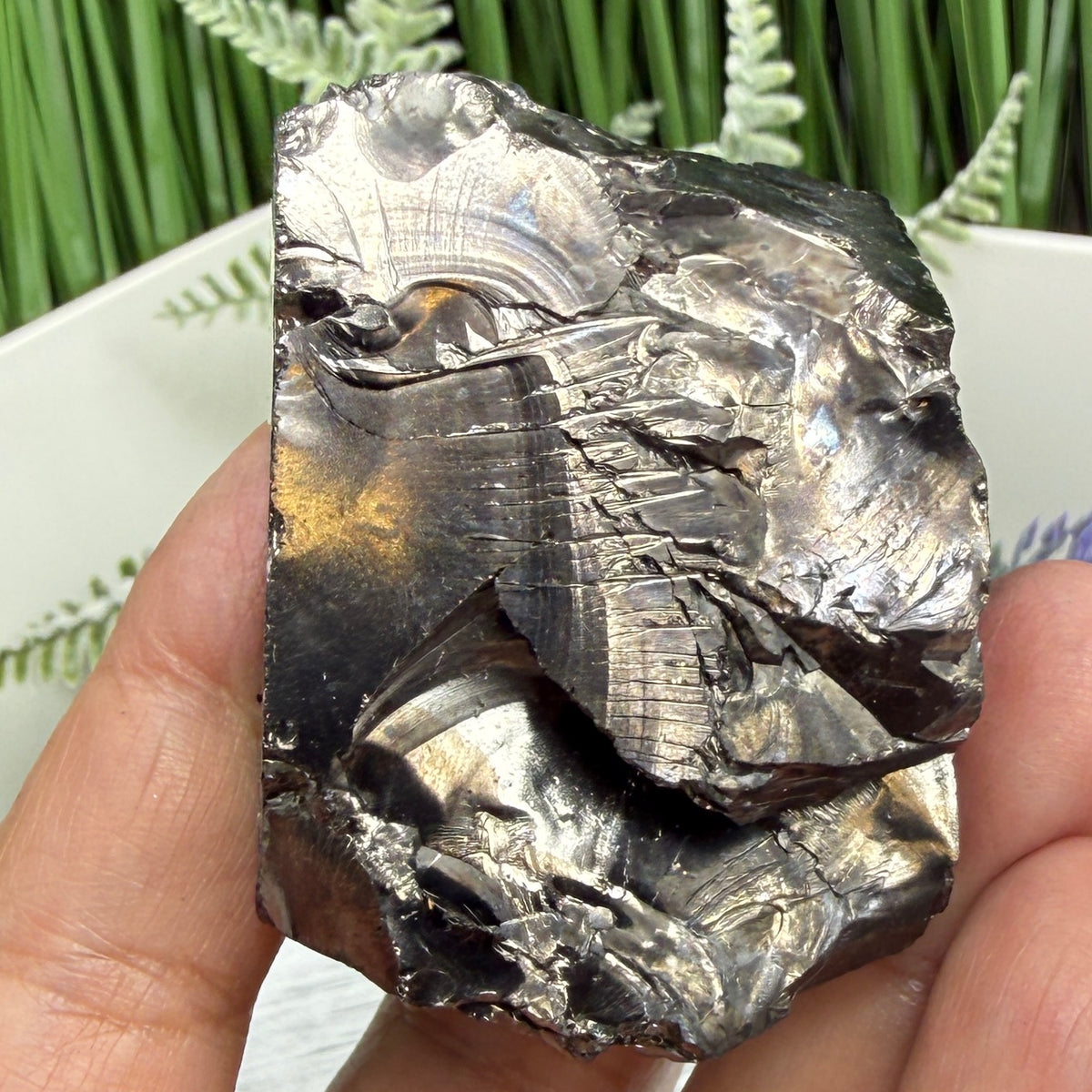 Elite Noble Shungite Raw Chunks Crystal Specimen EMF Protection 58g