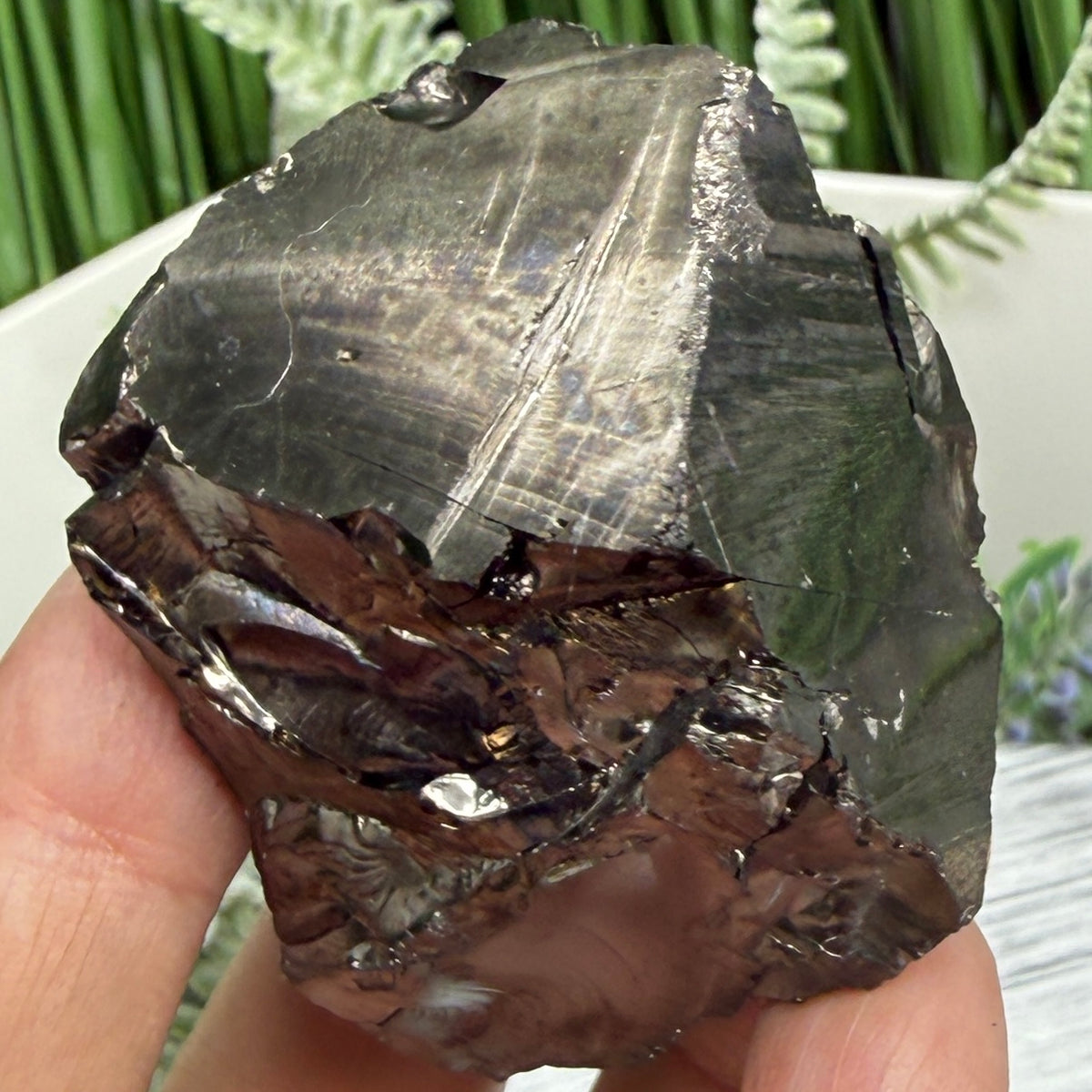 Elite Noble Shungite Raw Chunks Crystal Specimen EMF Protection 58g