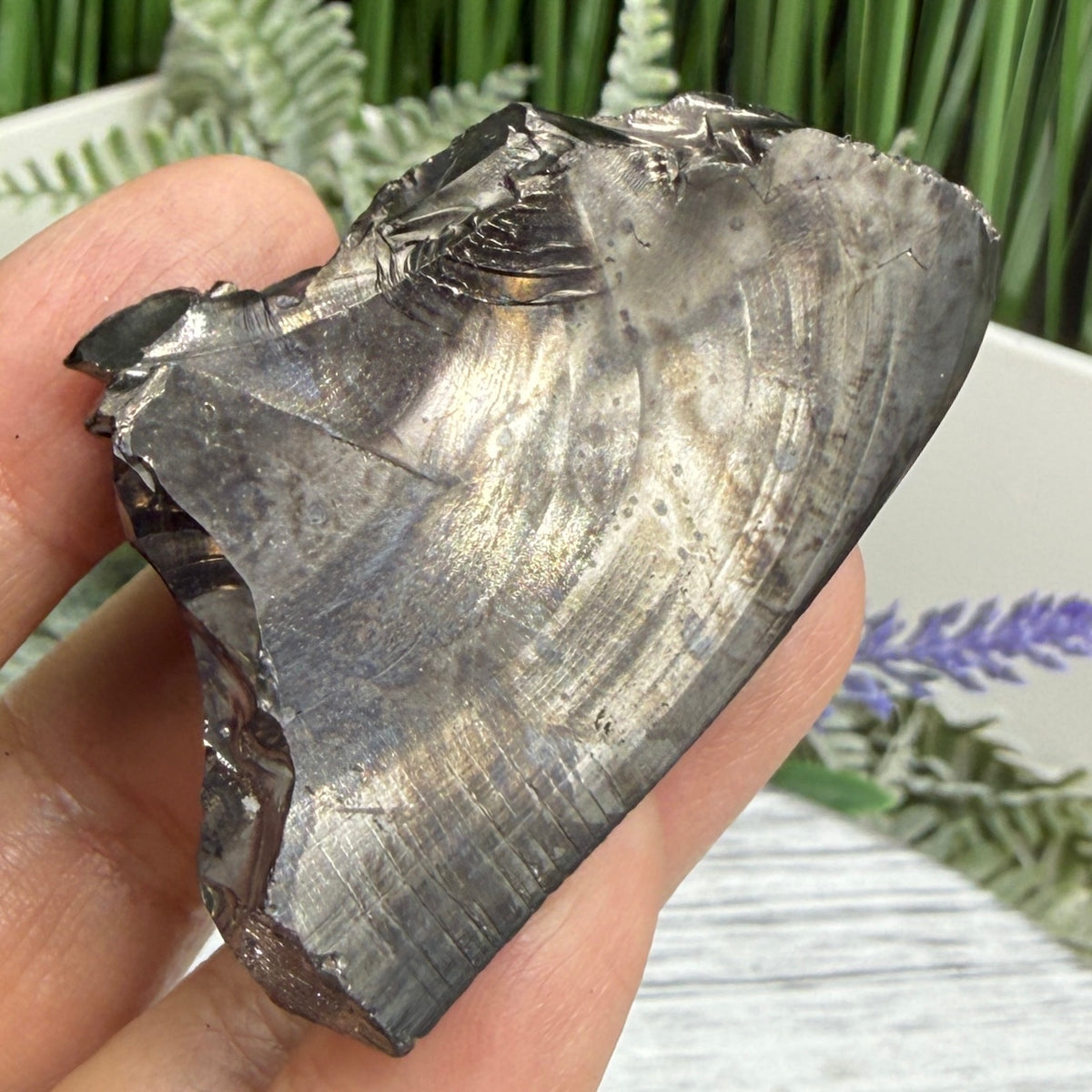 Elite Noble Shungite Raw Chunks Crystal Specimen EMF Protection 25g