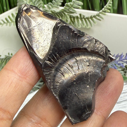 Elite Noble Shungite Raw Chunks Crystal Specimen EMF Protection 25g