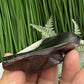 Elite Noble Shungite Raw Chunks Crystal Specimen EMF Protection 25g