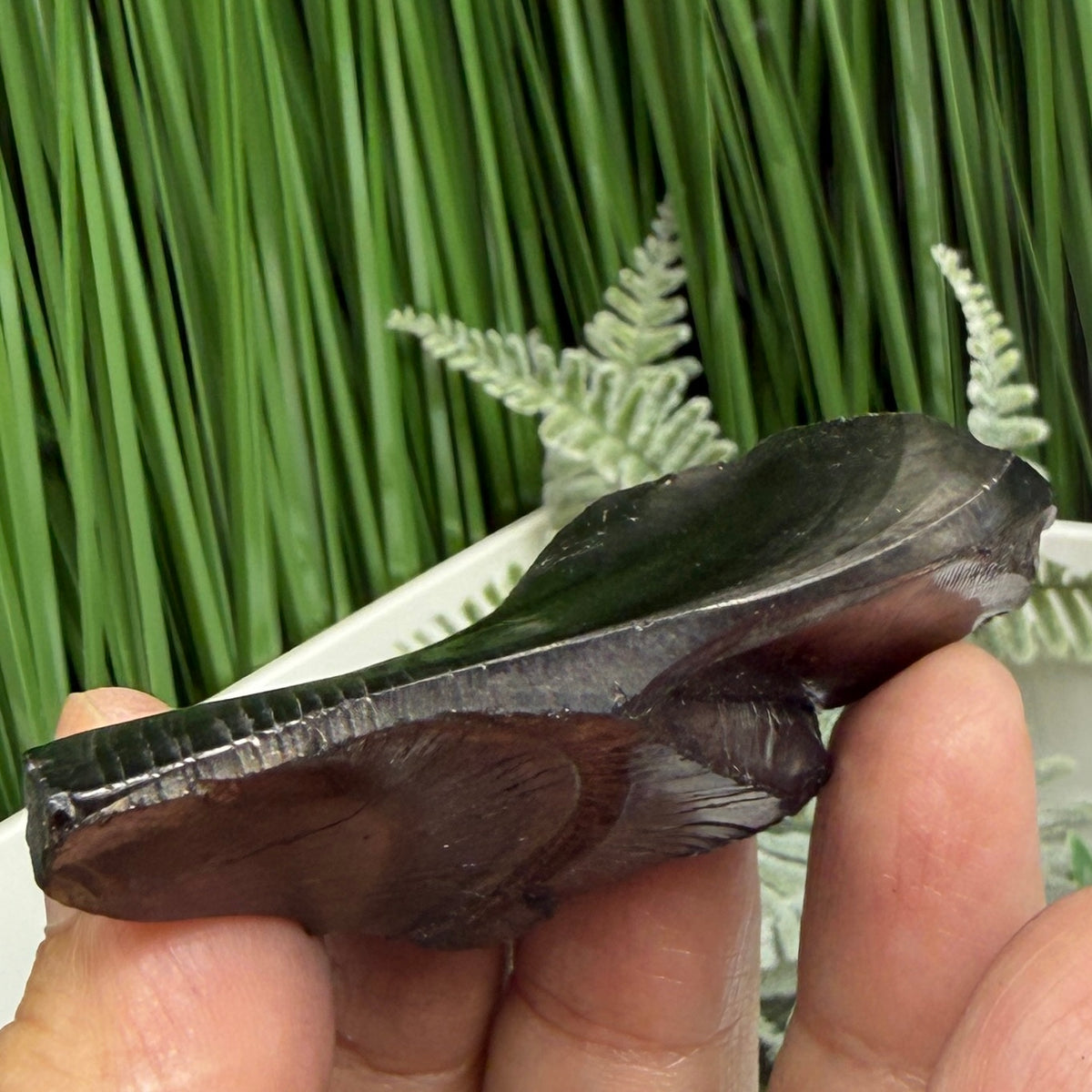Elite Noble Shungite Raw Chunks Crystal Specimen EMF Protection 25g
