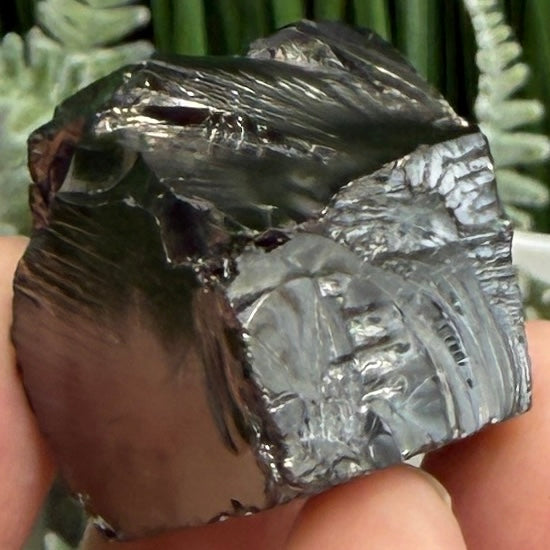 Elite Noble Shungite Raw Chunks Crystal Specimen EMF Protection 27g