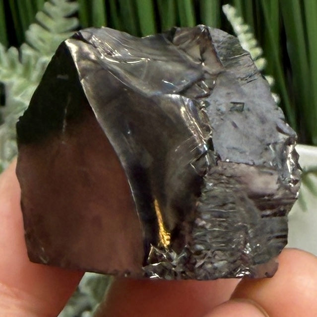 Elite Noble Shungite Raw Chunks Crystal Specimen EMF Protection 27g