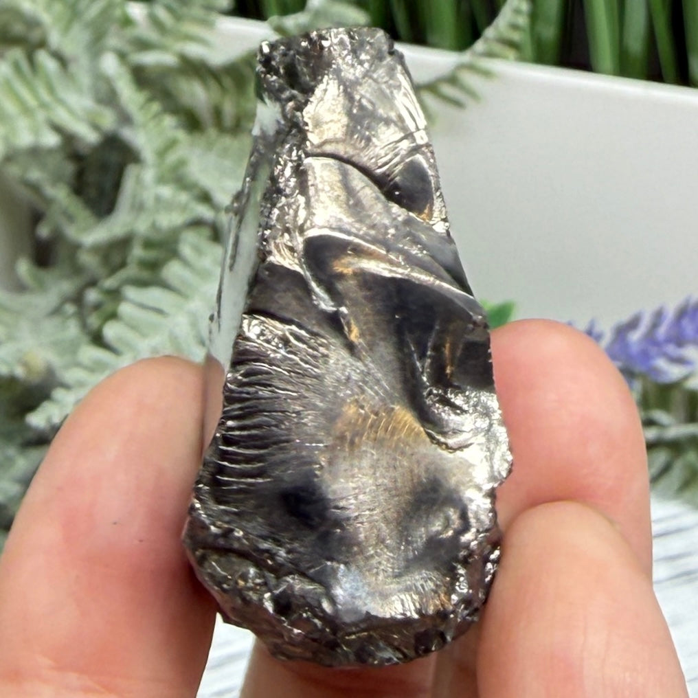 Elite Noble Shungite Raw Chunks Crystal Specimen EMF Protection 27g