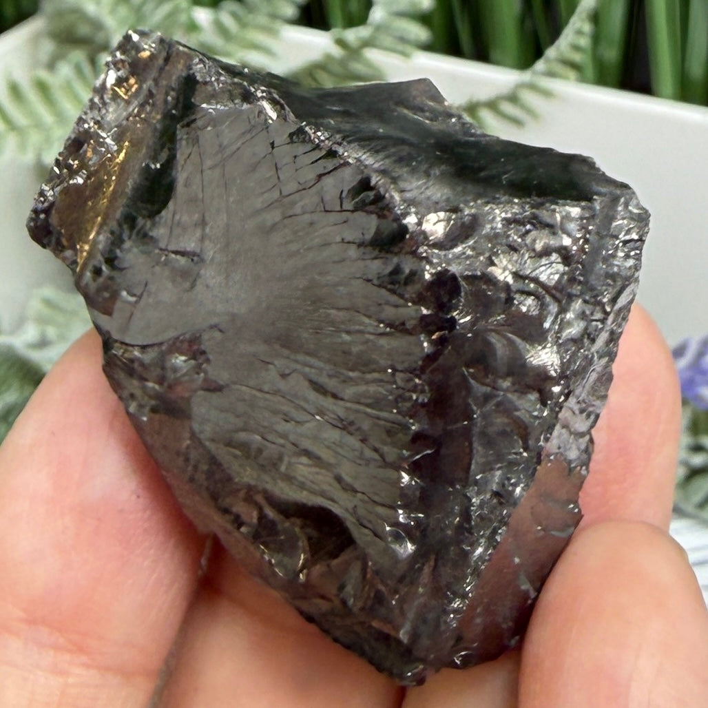 Elite Noble Shungite Raw Chunks Crystal Specimen EMF Protection 27g