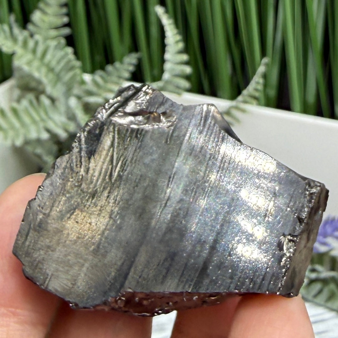 Elite Noble Shungite Raw Chunks Crystal Specimen EMF Protection 27g