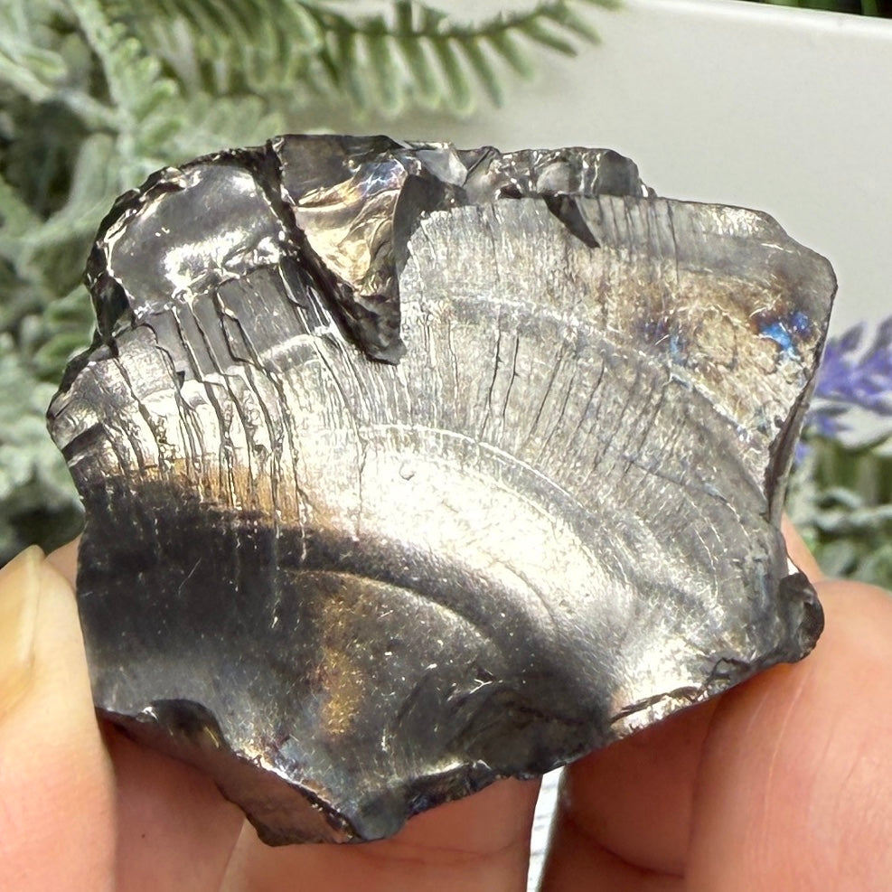 Elite Noble Shungite Raw Chunks Crystal Specimen EMF Protection 23g