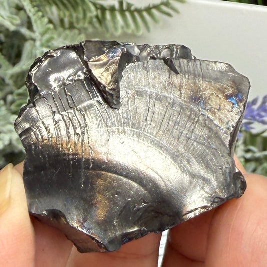 Elite Noble Shungite Raw Chunks Crystal Specimen EMF Protection 23g