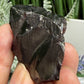 Elite Noble Shungite Raw Chunks Crystal Specimen EMF Protection 23g