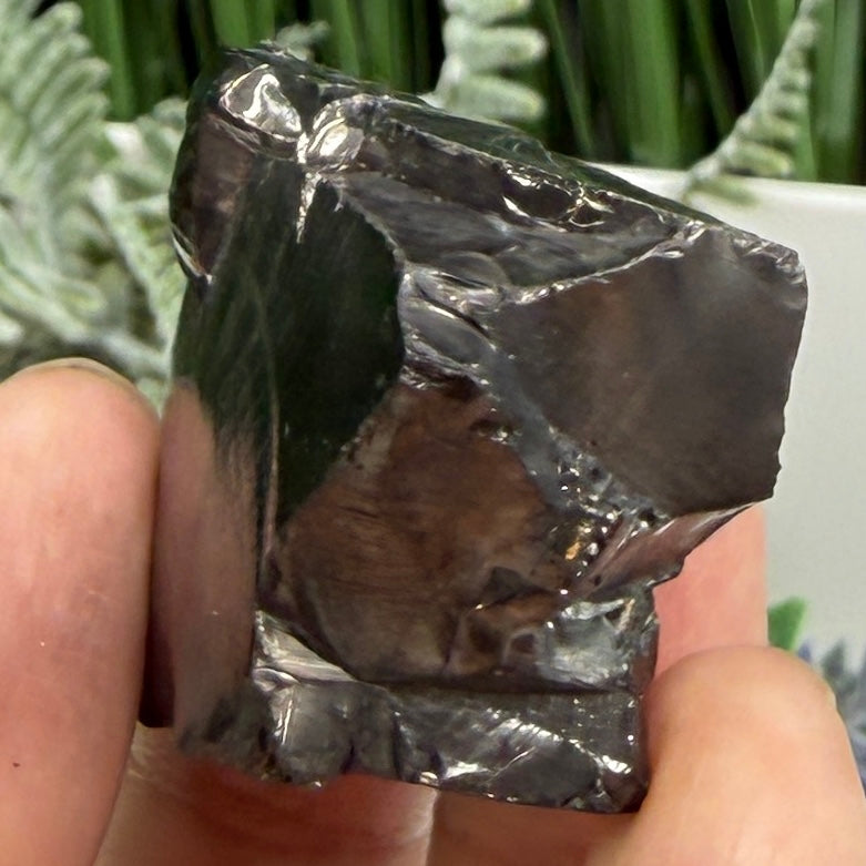 Elite Noble Shungite Raw Chunks Crystal Specimen EMF Protection 23g