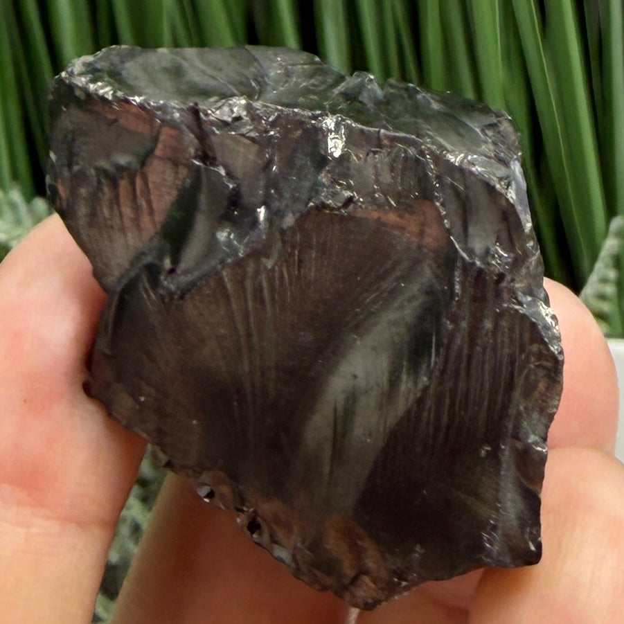 Elite Noble Shungite Raw Chunks Crystal Specimen EMF Protection 23g