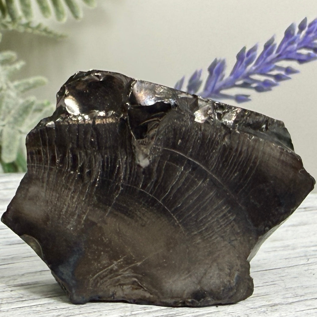 Elite Noble Shungite Raw Chunks Crystal Specimen EMF Protection 23g