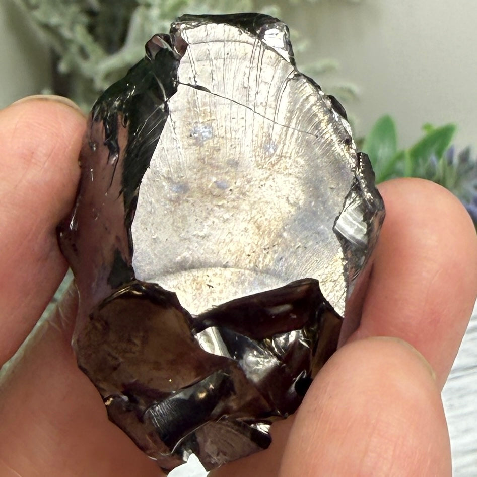 Elite Noble Shungite Raw Chunks Crystal Specimen EMF Protection 19g