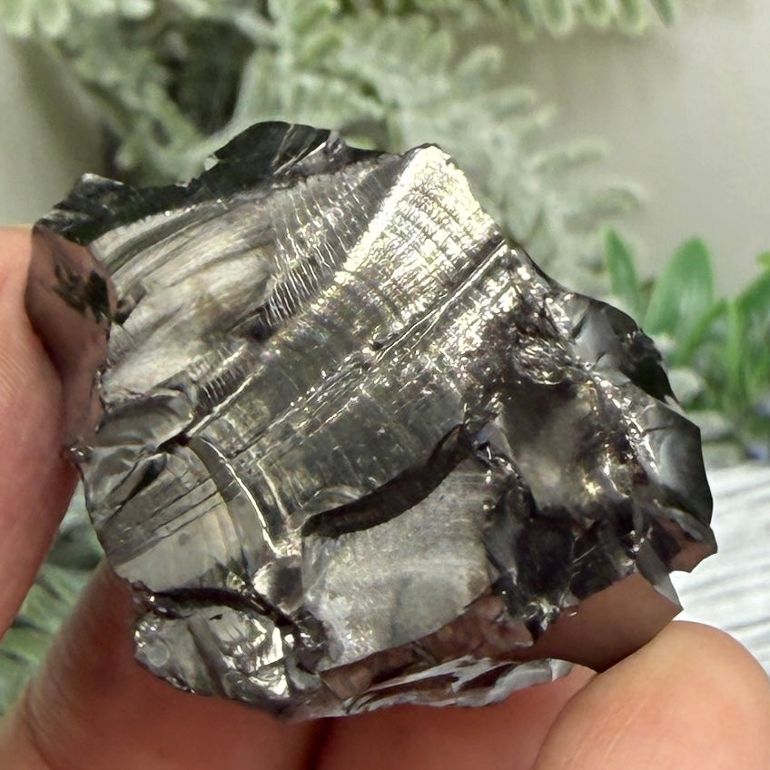 Elite Noble Shungite Raw Chunks Crystal Specimen EMF Protection 19g