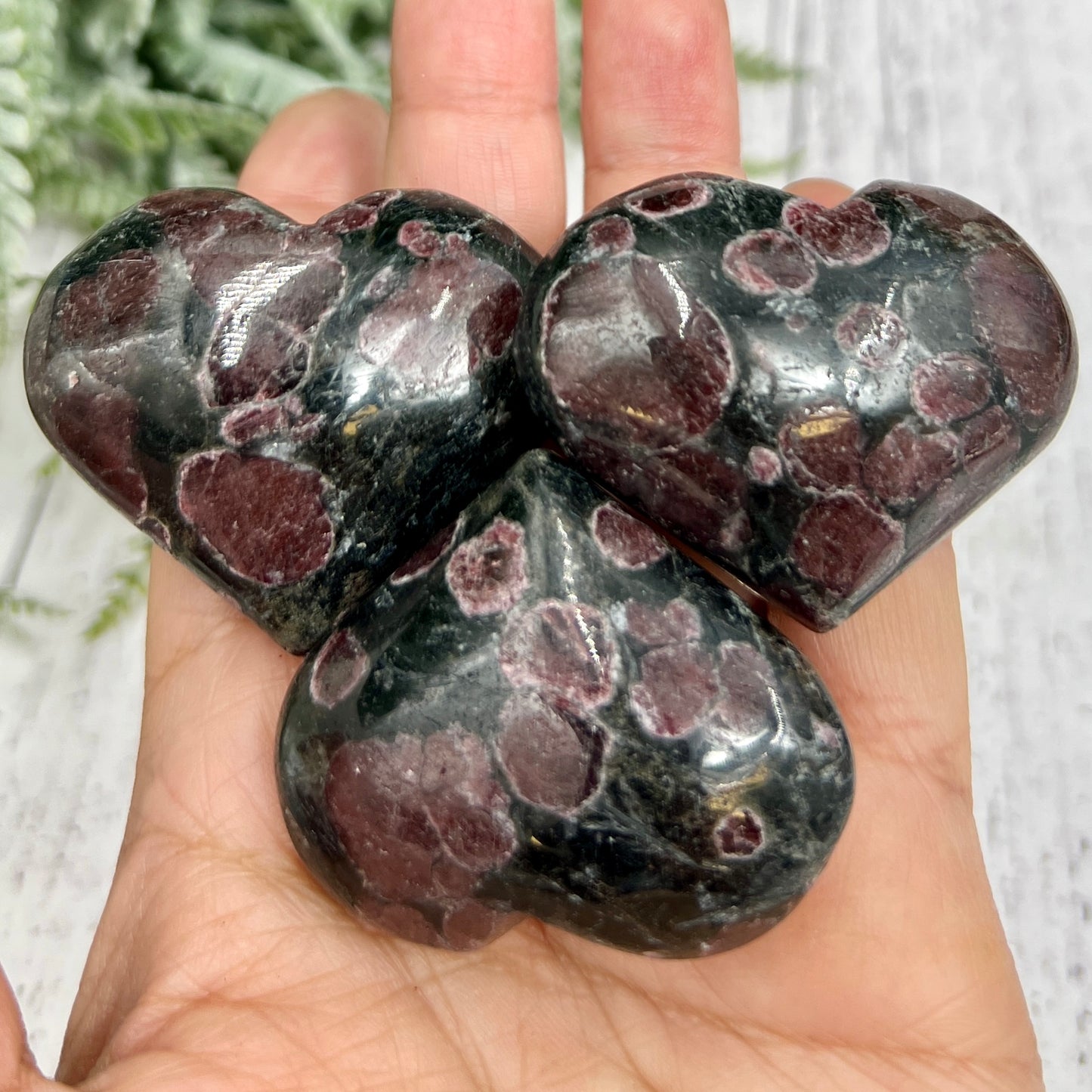 Garnet in Arfvedsonite Hearts Crystal Carvings YOU CHOOSE