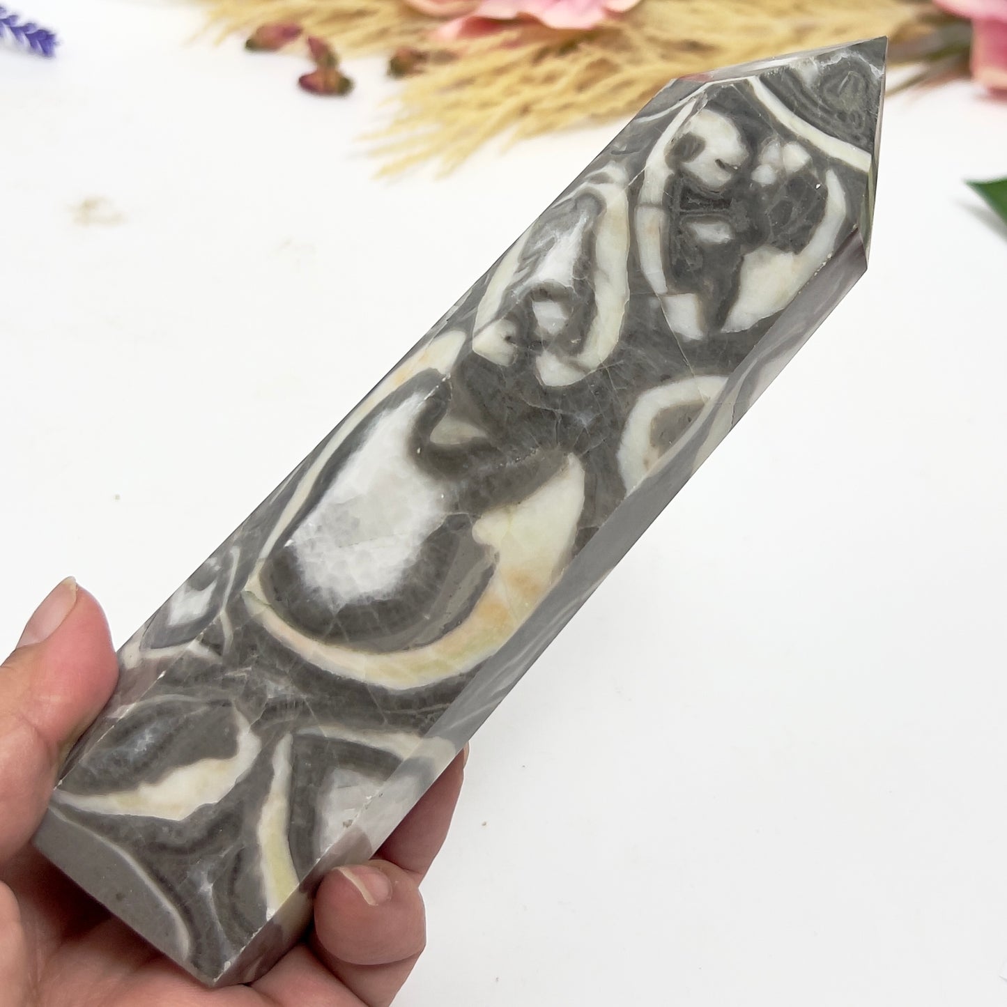 Shell Thousand Eye Jasper Tower Healing Crystal Generator 732g 181mm