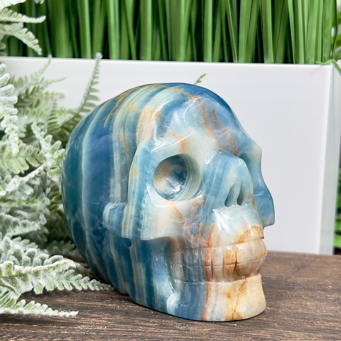 Blue Onyx Hollow Jaw Skull Healing Crystal Carving 1110g