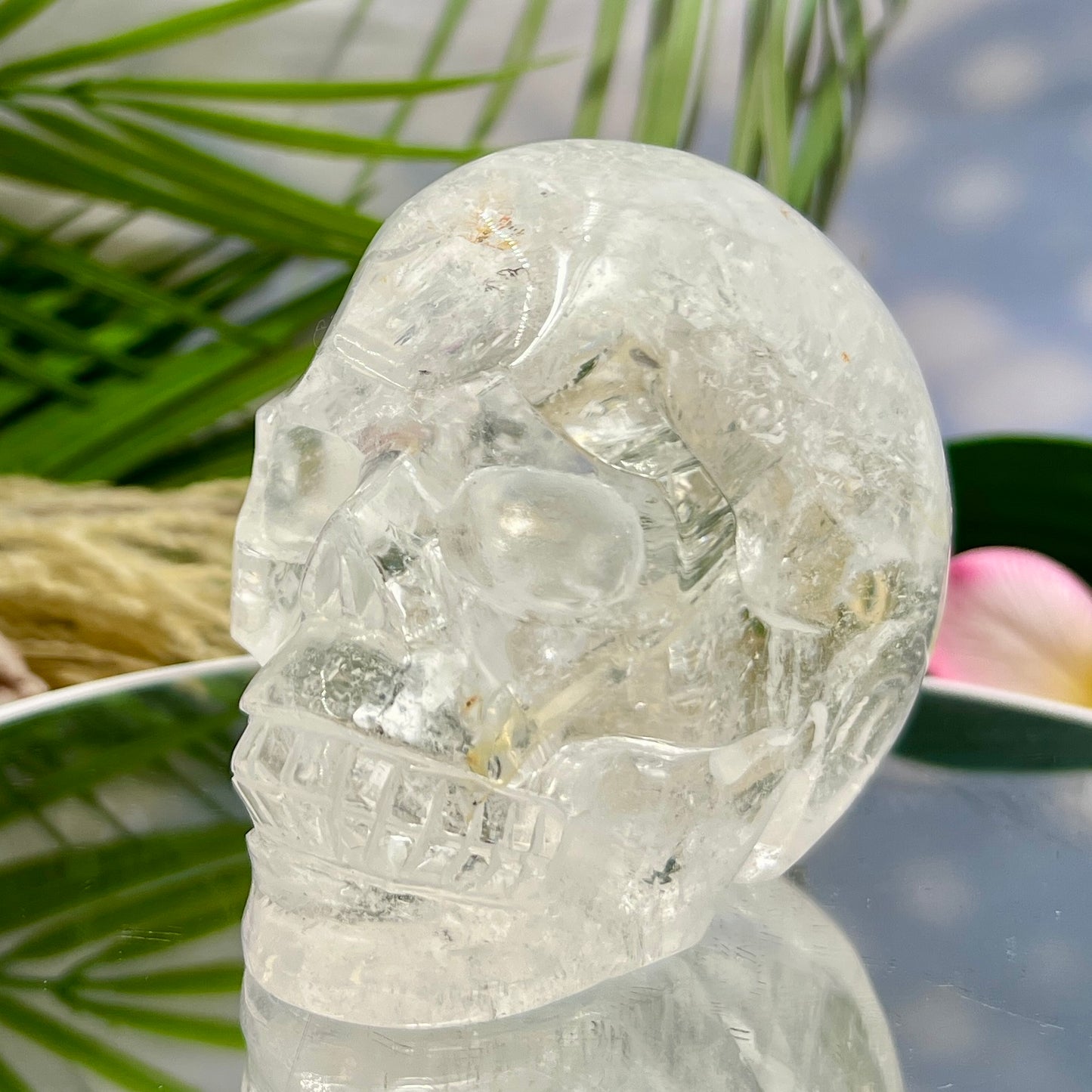 Clear Quartz Golden Healer Dendrites Skull High Quality Crystal Carving 900g