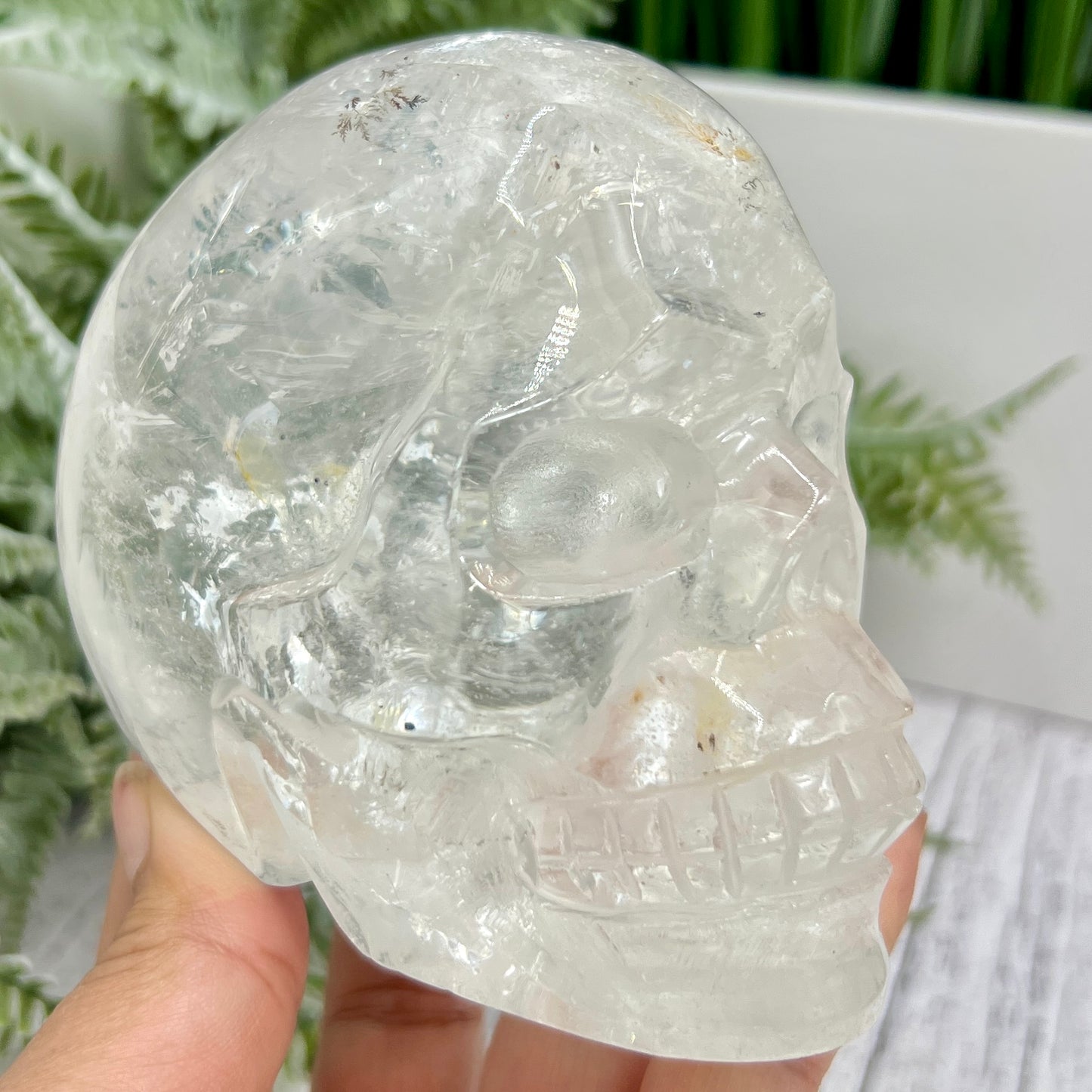 Clear Quartz Golden Healer Dendrites Skull High Quality Crystal Carving 900g