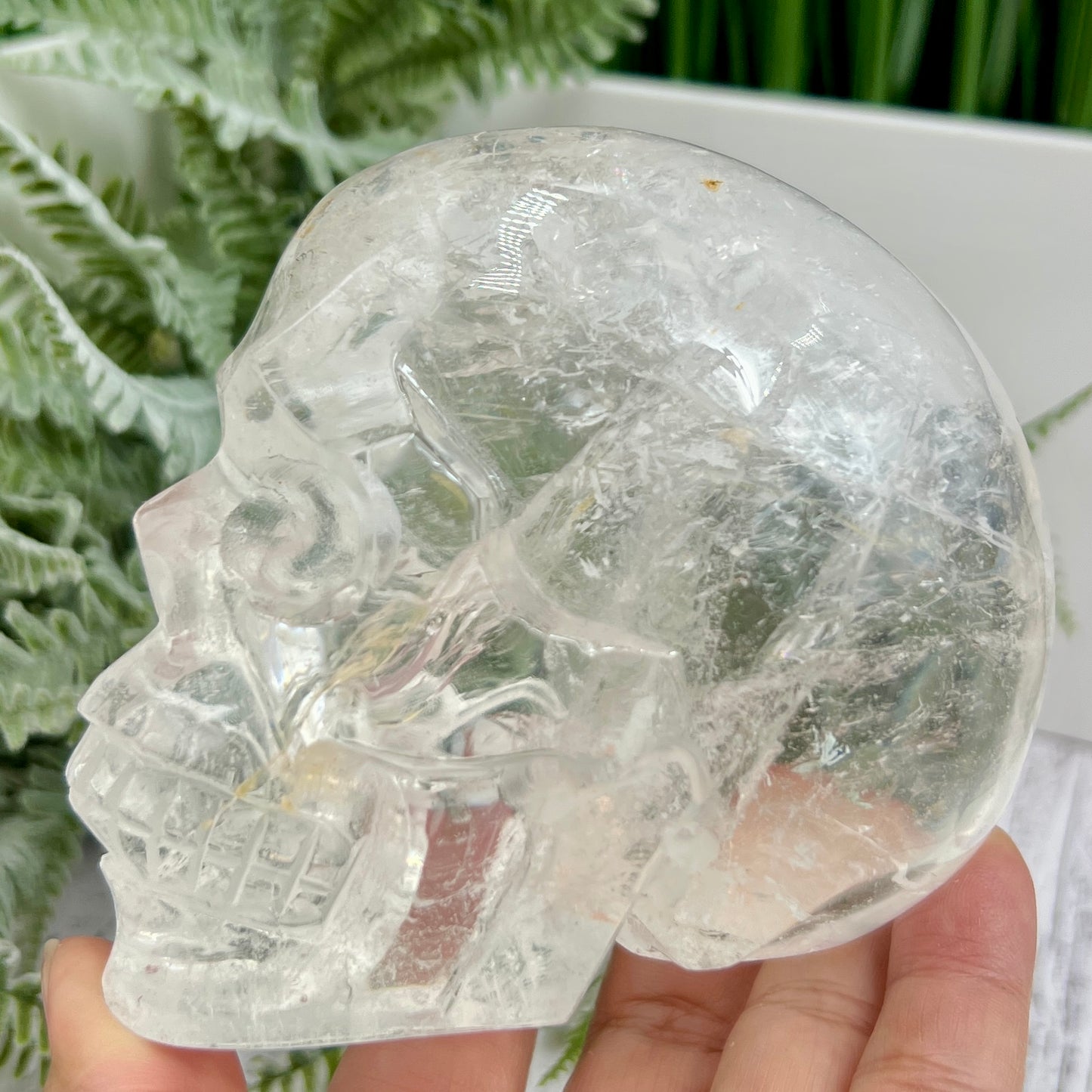 Clear Quartz Golden Healer Dendrites Skull High Quality Crystal Carving 900g