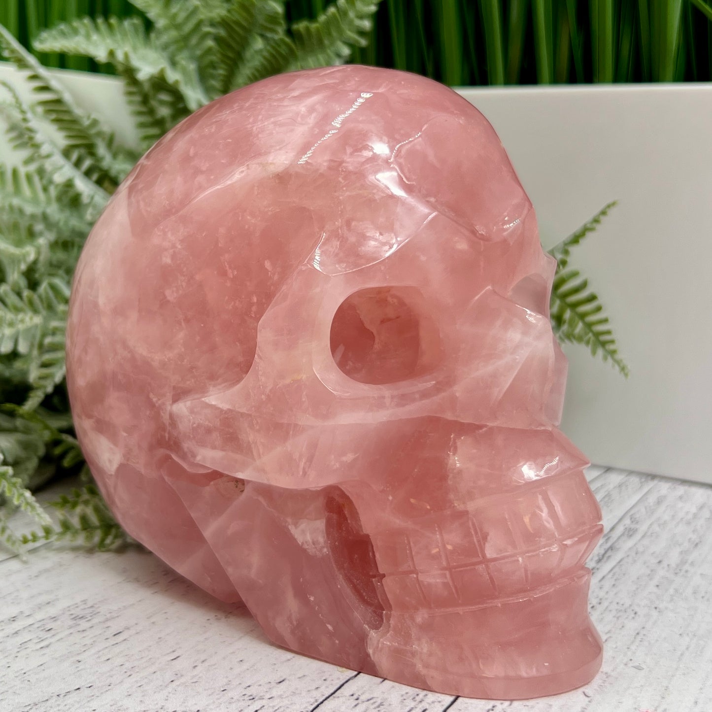 Huge Dark Rose Quartz Skull High Quality Crystal Carving 2864 Grams 6.3 Pounds