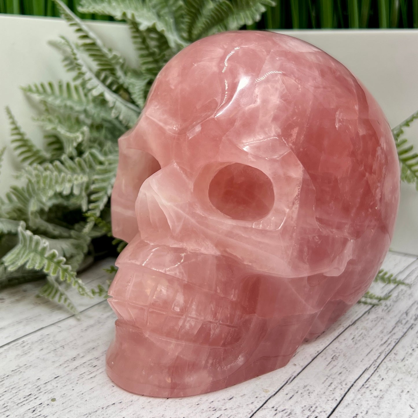 Huge Dark Rose Quartz Skull High Quality Crystal Carving 2864 Grams 6.3 Pounds