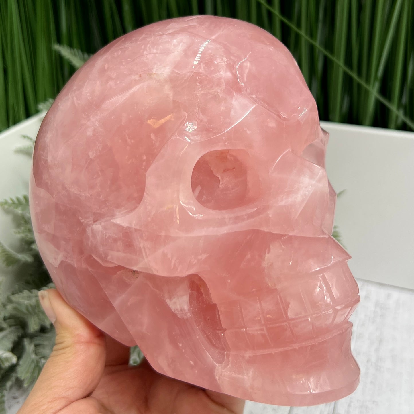 Huge Dark Rose Quartz Skull High Quality Crystal Carving 2864 Grams 6.3 Pounds