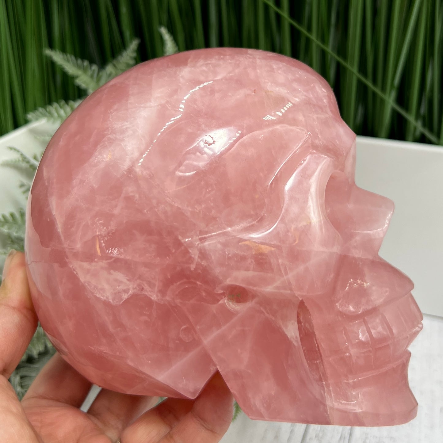 Huge Dark Rose Quartz Skull High Quality Crystal Carving 2864 Grams 6.3 Pounds