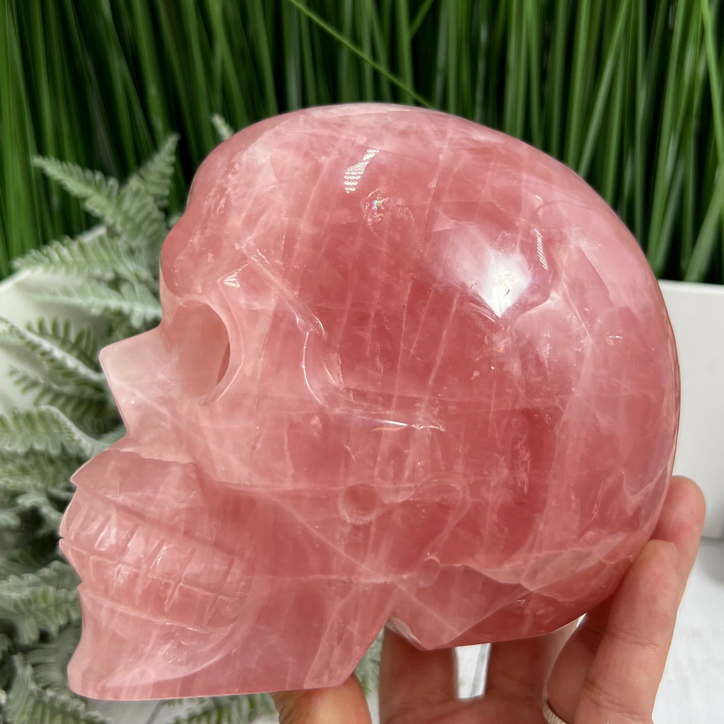 Huge Dark Rose Quartz Skull High Quality Crystal Carving 2864 Grams 6.3 Pounds