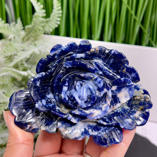 Blue Sodalite Flower Healing Crystal Carving 222g