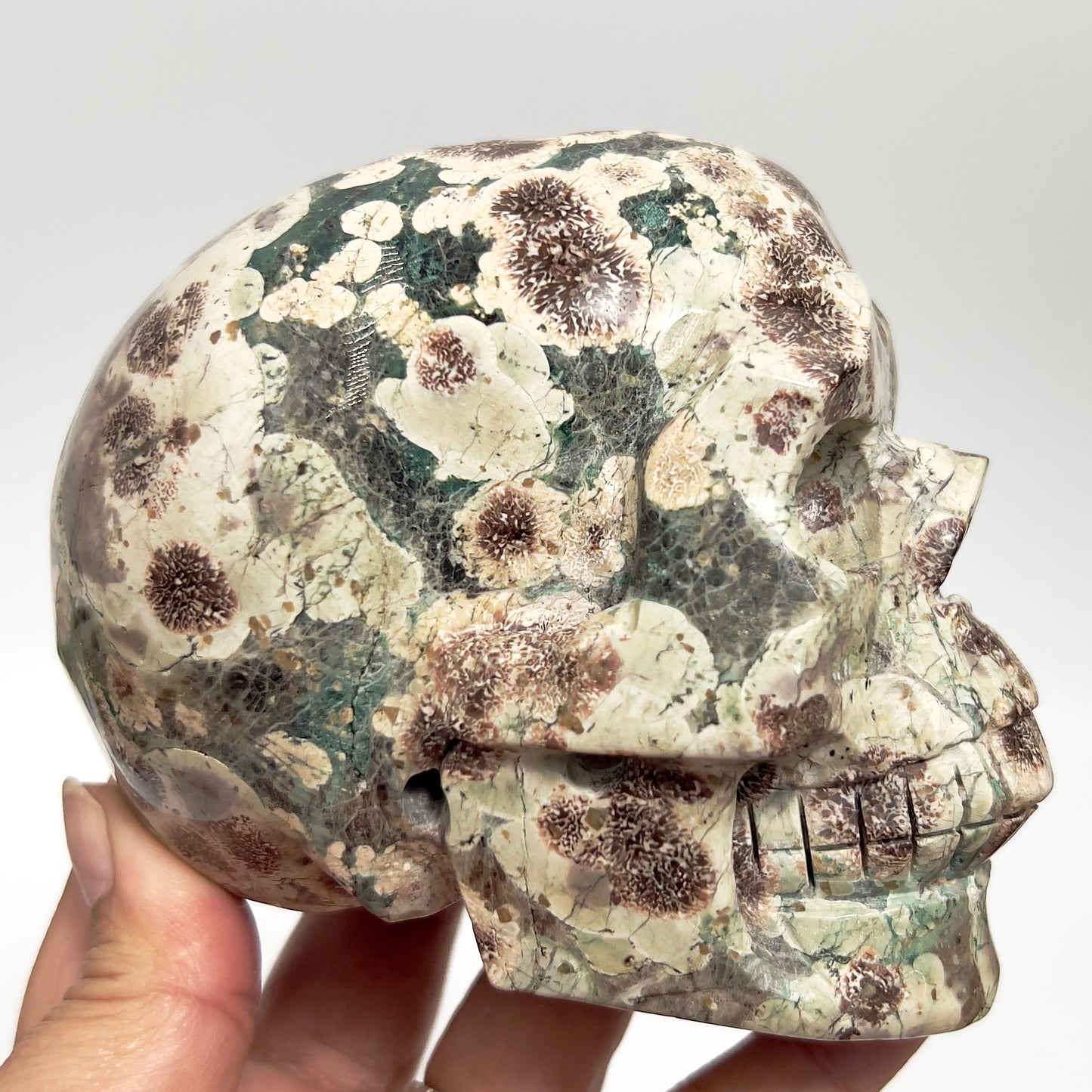 Russian Flower Cherry Blossom Jasper Hollow Jaw Skull Healing Crystal Carving 954g