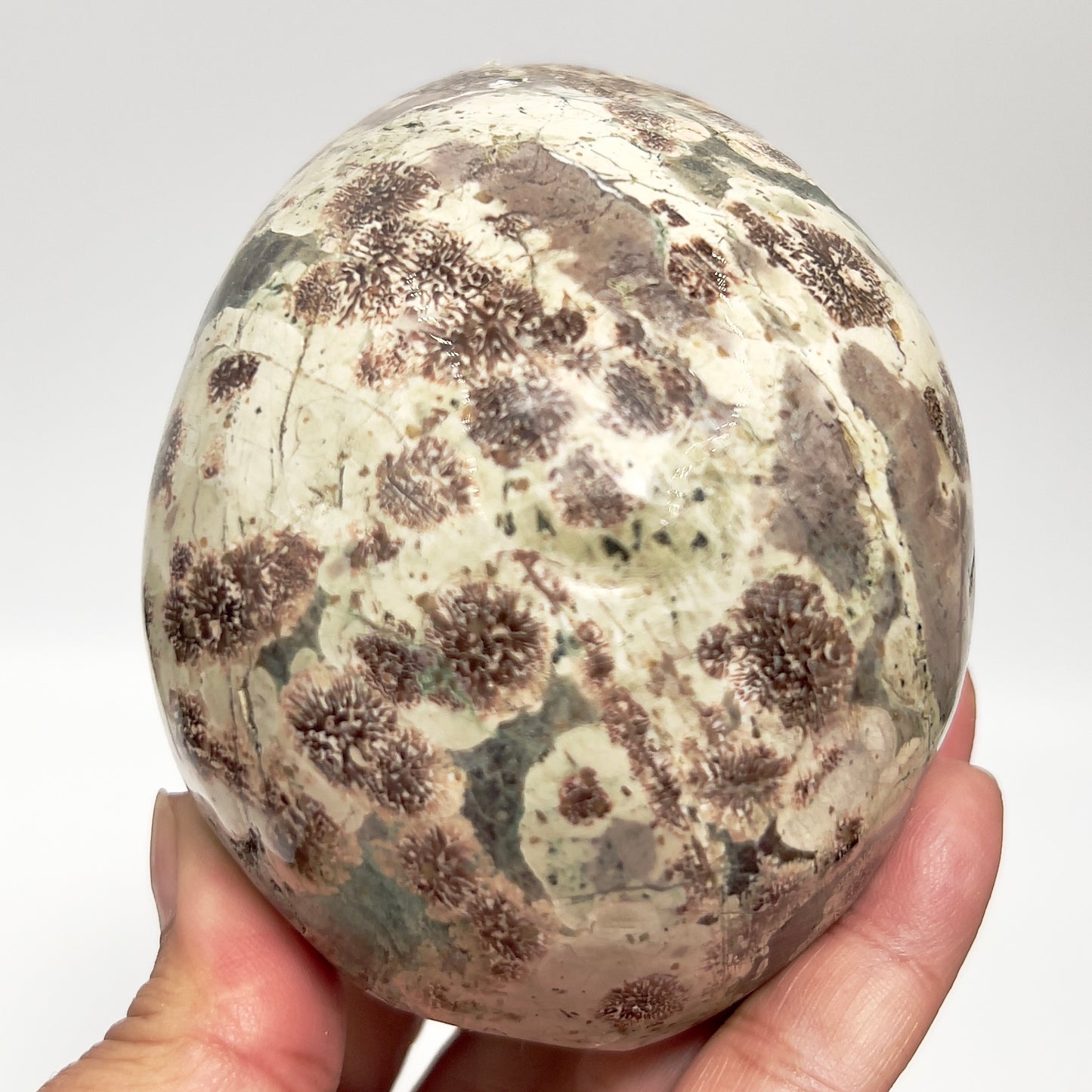 Russian Flower Cherry Blossom Jasper Hollow Jaw Skull Healing Crystal Carving 954g