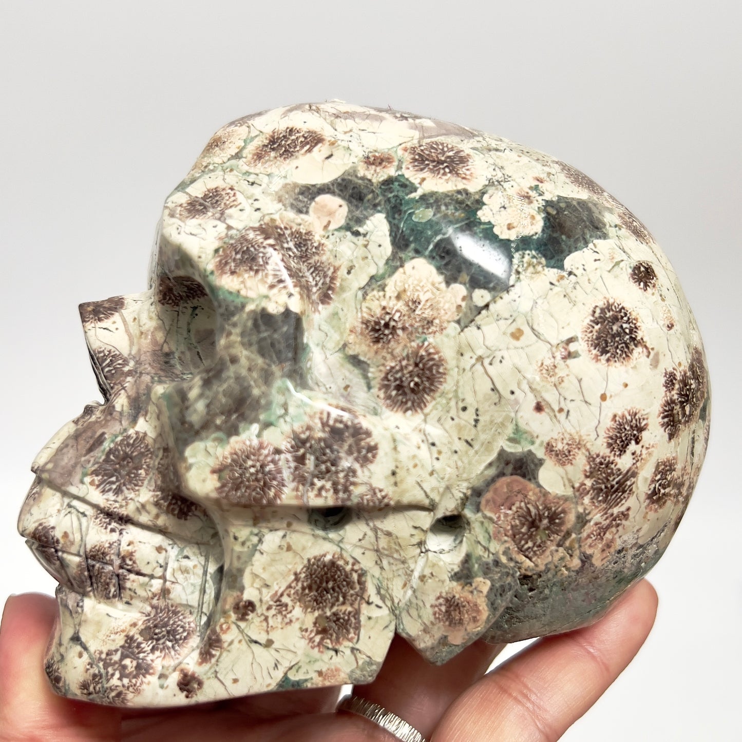 Russian Flower Cherry Blossom Jasper Hollow Jaw Skull Healing Crystal Carving 954g