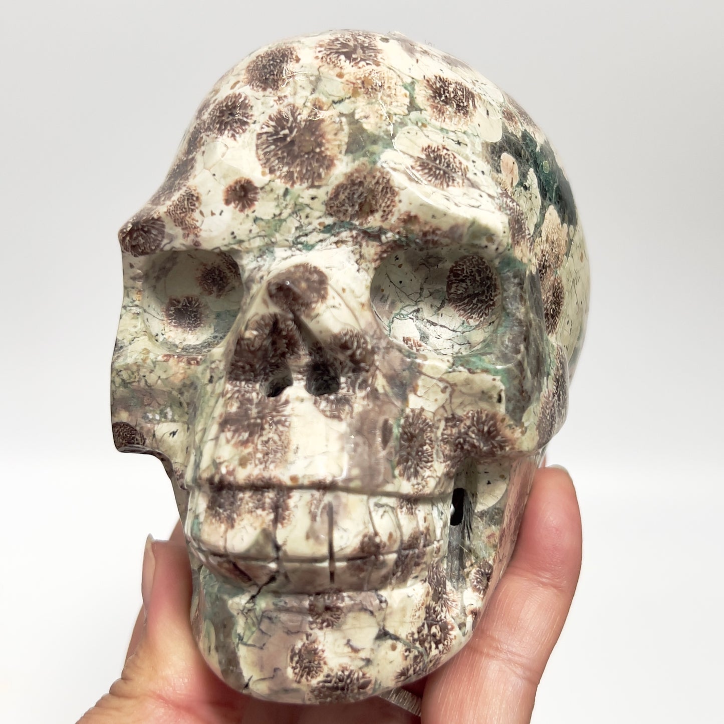 Russian Flower Cherry Blossom Jasper Hollow Jaw Skull Healing Crystal Carving 954g