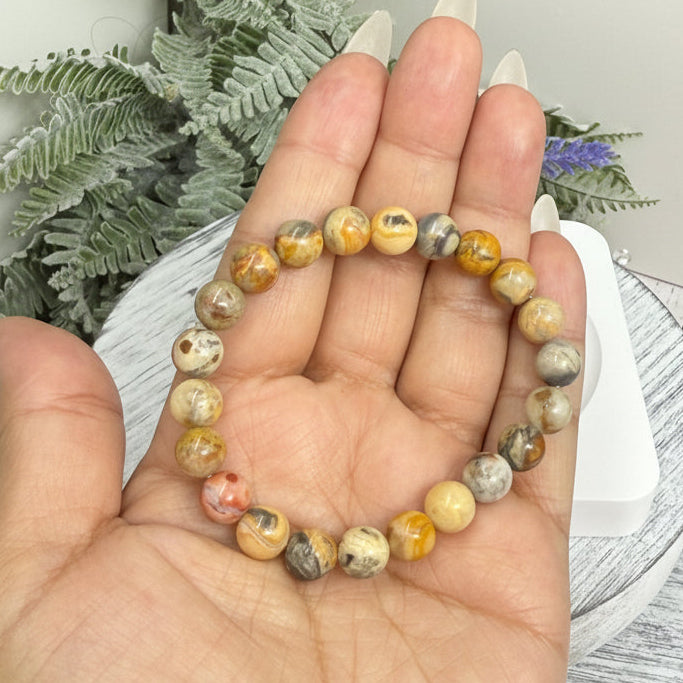 Crazy Lace Agate Bracelet Healing Wearable Crystal Elastic 15cm 8mm Bead Size