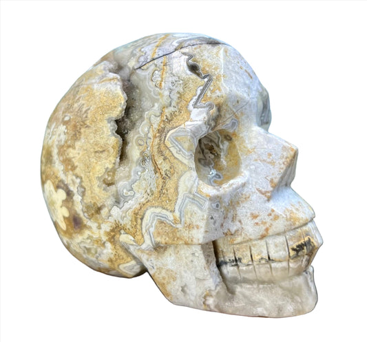 White Mexican Crazy Lace Agate Skull Crystal Skull Carving 974g