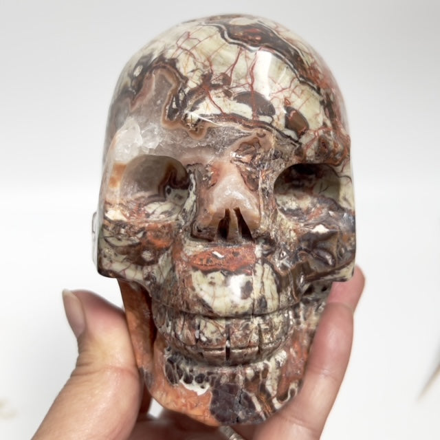 Indonesian Bloodstone Money Agate Skull Healing Crystal Carving 1212g