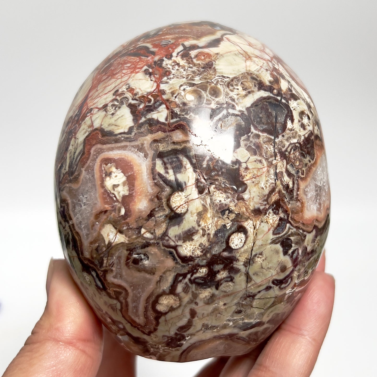 Indonesian Bloodstone Money Agate Skull Healing Crystal Carving 1212g