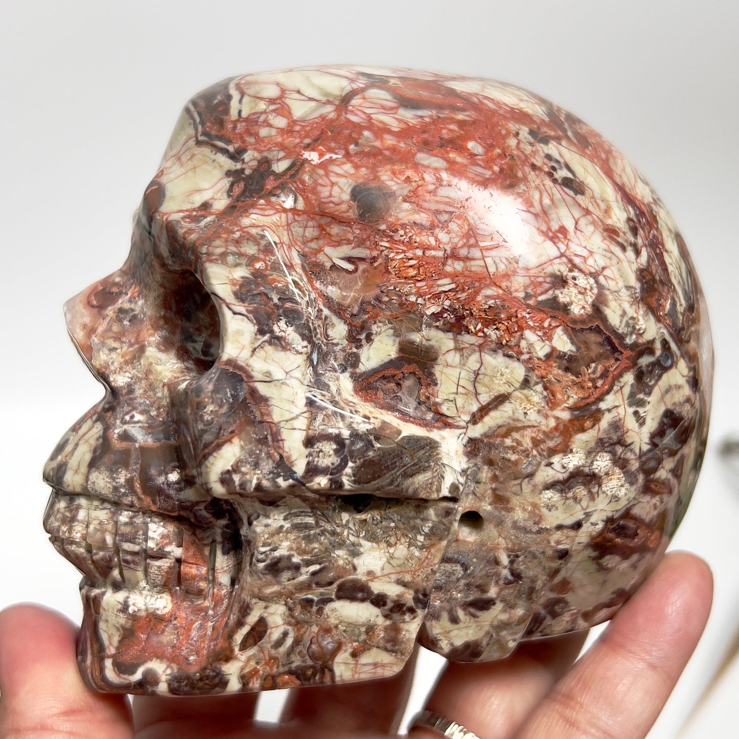 Indonesian Bloodstone Money Agate Skull Healing Crystal Carving 1212g