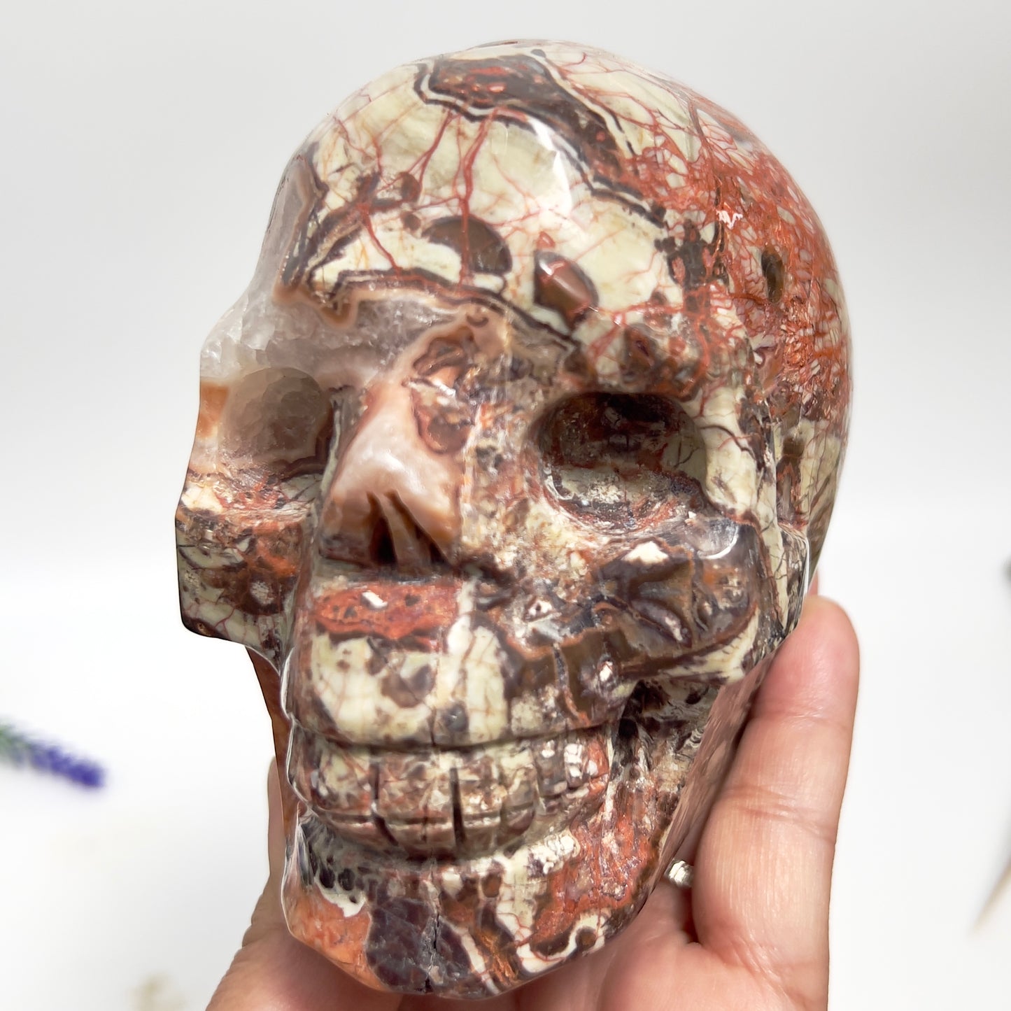 Indonesian Bloodstone Money Agate Skull Healing Crystal Carving 1212g