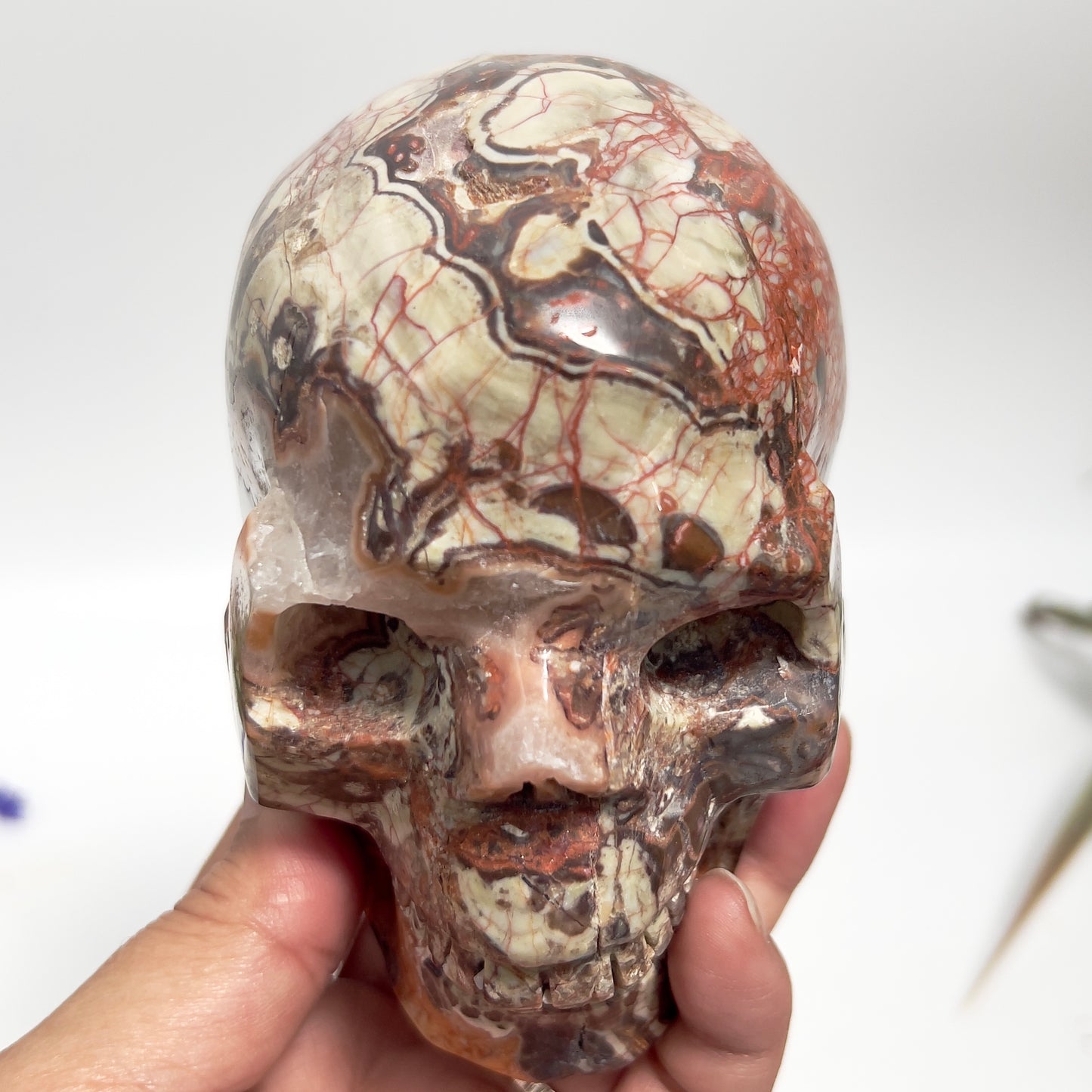 Indonesian Bloodstone Money Agate Skull Healing Crystal Carving 1212g