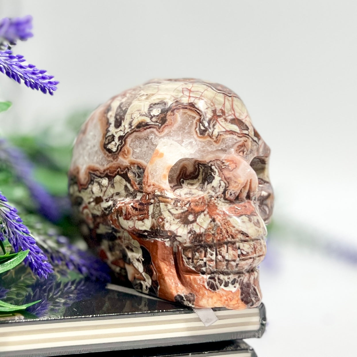 Indonesian Bloodstone Money Agate Skull Healing Crystal Carving 1212g