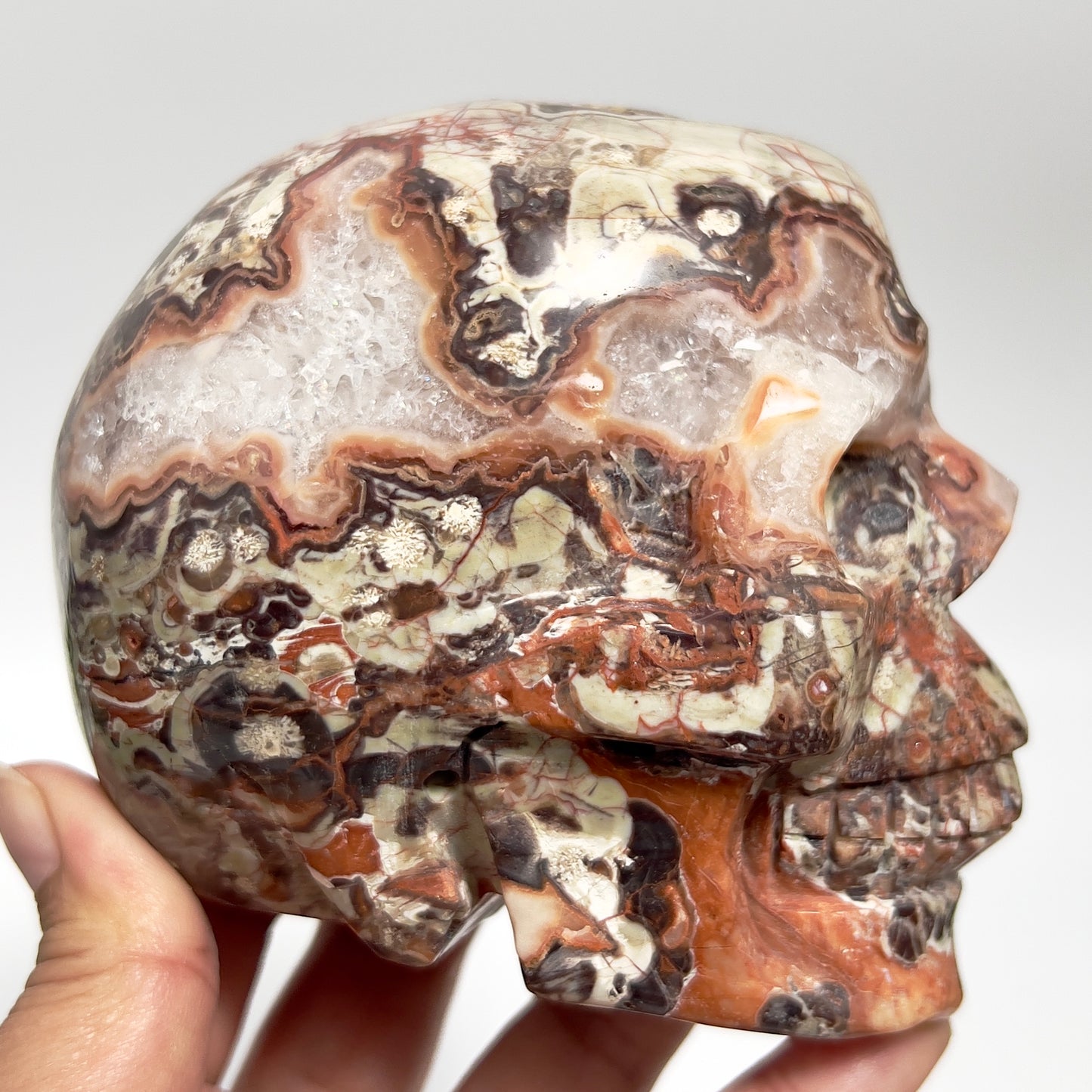 Indonesian Bloodstone Money Agate Skull Healing Crystal Carving 1212g