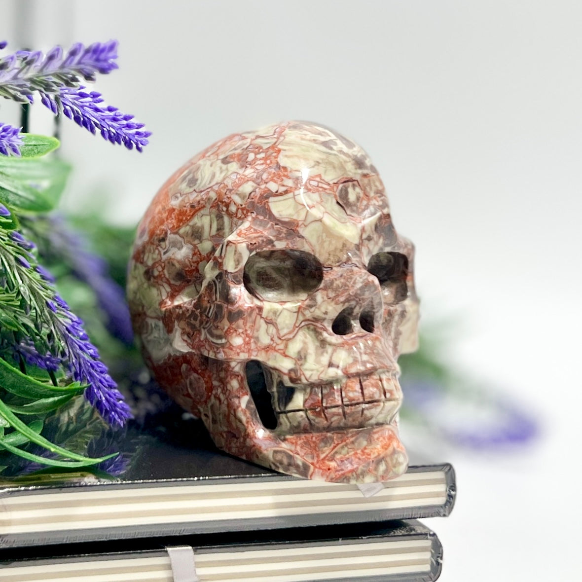 Indonesian Bloodstone Money Agate Skull Healing Crystal Carving 1028g